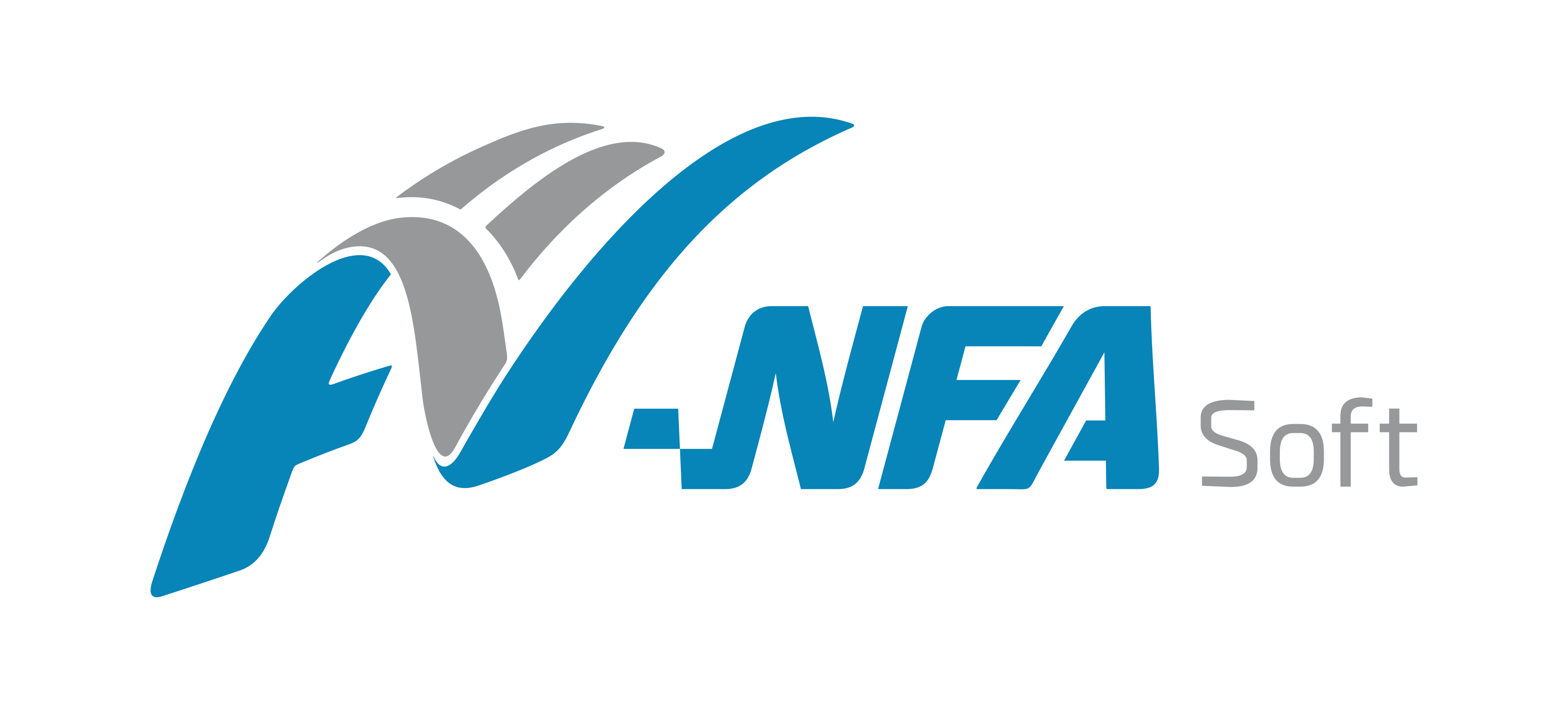 NFASoft logo
